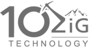 10 Zig Technology Tech Support