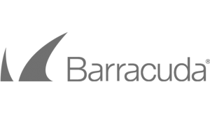 Managed IT Support for Barracuda Partner