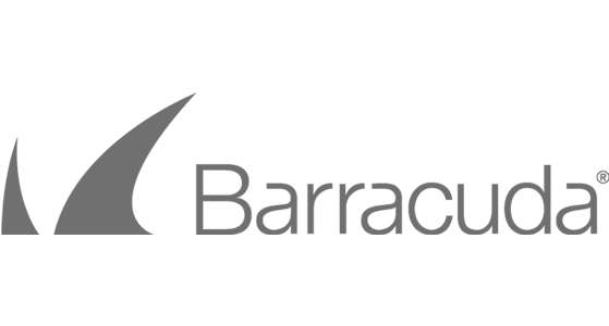 Managed IT Support for Barracuda Partner